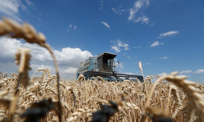 Một máy gặt đập liên hợp đang thu hoạch lúa mì trên cánh đồng gần làng Hrebeni ở vùng Kyiv, Ukraine, hôm 17/07/2020. (Ảnh: Valentyn Ogirenko / Reuters)