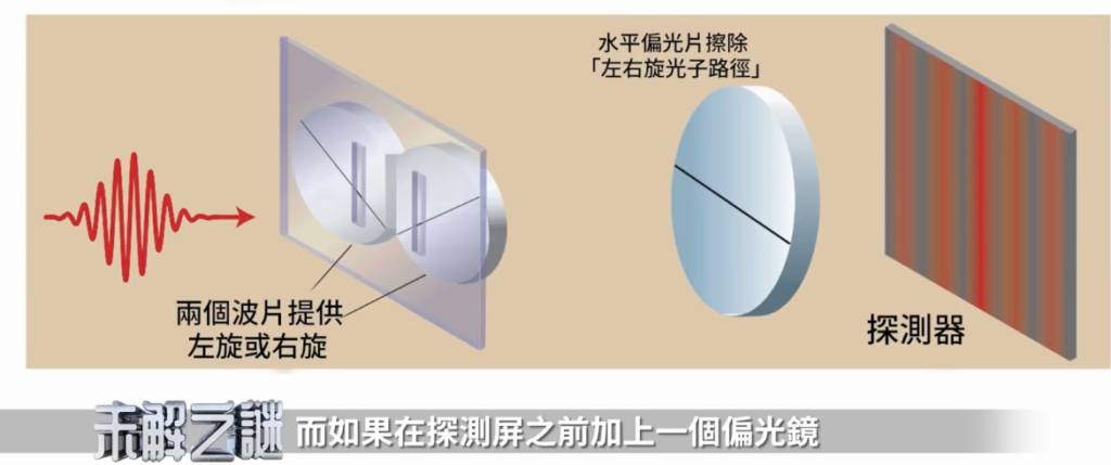 3. Các Kết Quả Quan Trọng Từ Thí Nghiệm