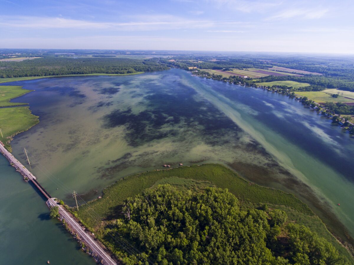 Toàn cảnh Kênh đào Erie và Đường sắt nối với Hồ Cayuga dài nhất trong Vùng Hồ Finger. (Ảnh: Matt Champlin/Moment/Getty Images)