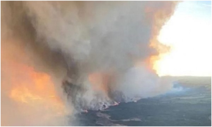 Cháy rừng ở hồ Parke, Canada