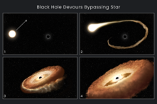 Bốn bước lỗ đen thực hiện để nuốt chửng một hằng tinh. Ảnh minh họa. (Ảnh: NASA, ESA, Leah Hustak (STScI))