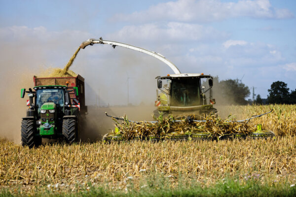 Máy móc nông nghiệp được sử dụng để thu hoạch bắp gần Jessen, Đức, vào ngày 24/08/2022. (Ảnh: Jens Schlueter/Getty Images)