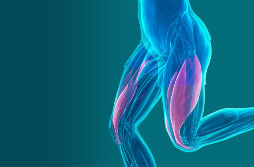 Bảy bài tập ‘Quadzilla’ tăng sức mạnh cho đôi chân và cải thiện khả năng vận động