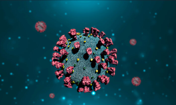 Virus COVID-19. (Ảnh: Kitreel/Shutterstock)