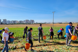 Công nhân nông trại người Thái trở lại Israel có thể thúc đẩy nền nông nghiệp đang gặp khó khăn của nước này