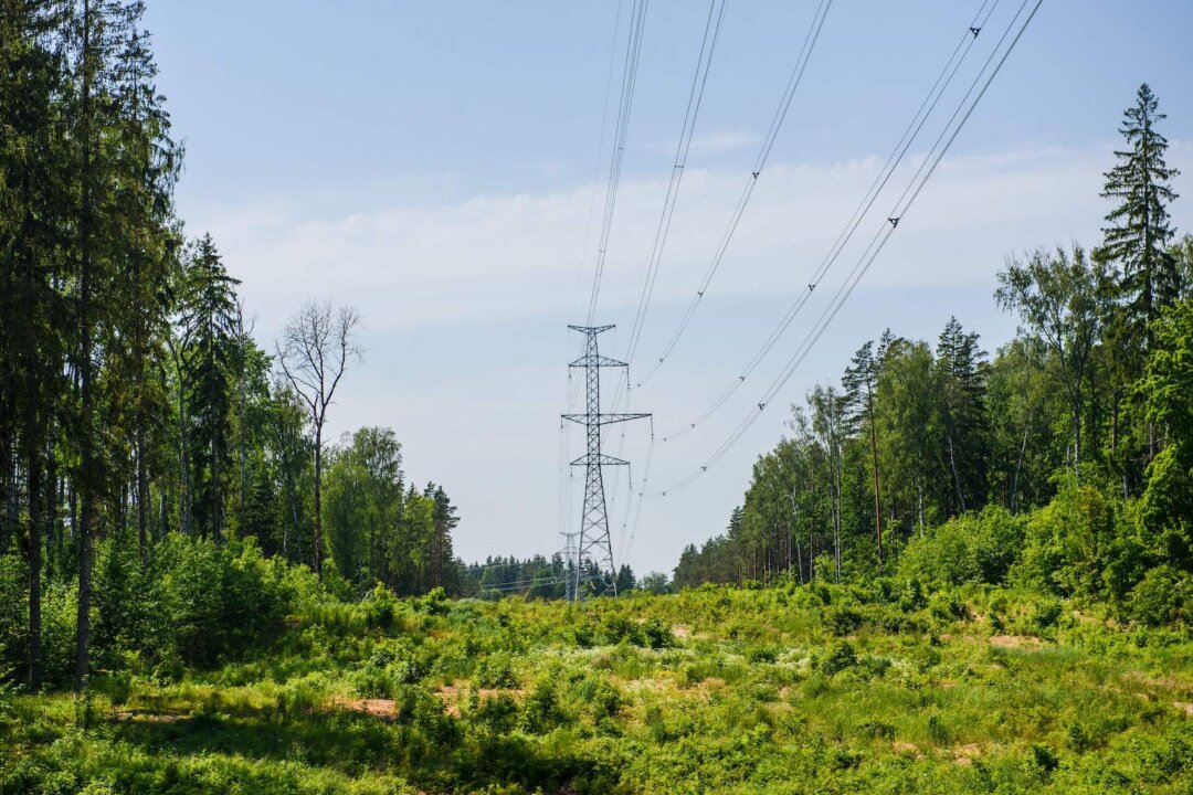 Các tháp đường dây điện của Vòng tròn Kurzeme (Kurzemes Loks) được chụp vào ngày 18/06/2020, tại Tukums, gần Riga, Latvia. Latvia đã hoàn thành đường dây điện cao thế mới tới Estonia vào ngày 21/12/2020, sau nỗ lực kết nối lưới điện ở các quốc gia vùng Baltic với các nước láng giềng thuộc Liên minh  u Châu thay vì Nga. (Ảnh: Gints Ivuskans/AFP qua Getty Images)