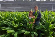 Bà Valerie và ông Brian Quant trên cánh đồng nghệ ở trang trại hữu cơ của họ, “White Rabbit Acres.” (Ảnh: Đăng dưới sự cho phép của ông Brian Quant)