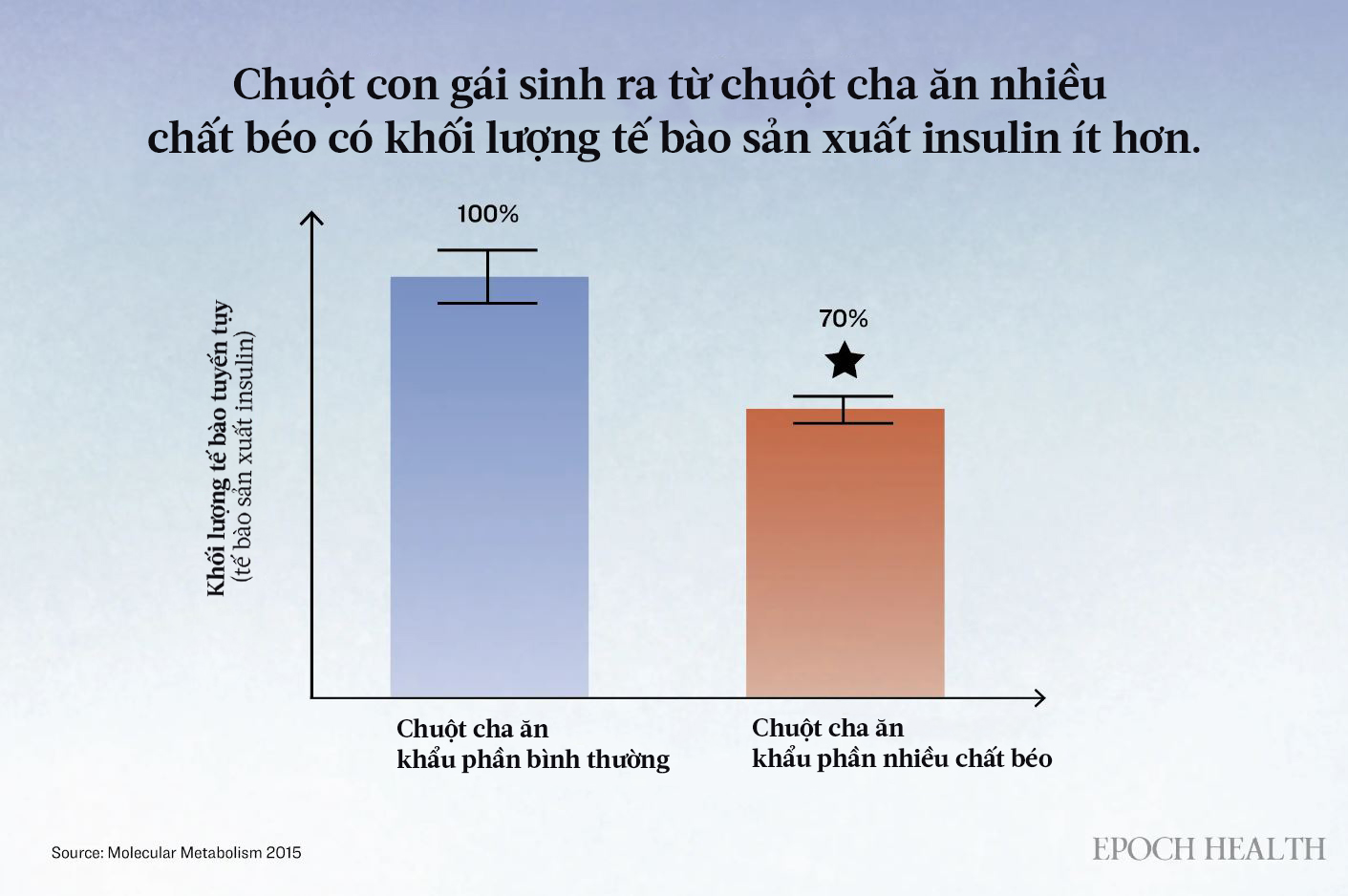 Khi chuột được cho ăn nhiều chất béo trong 12 tuần, tuyến tụy của con cái có ít tế bào sản xuất insulin hơn so với con của chuột được cho ăn bình thường có chất béo. (Ảnh: The Epoch Times)