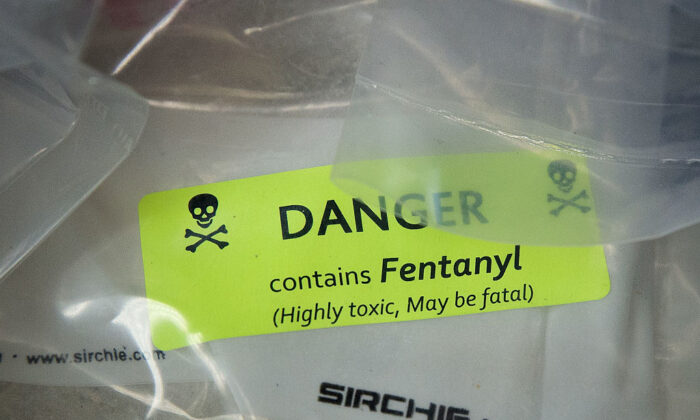 Hoa Kỳ: Một công dân Trung Quốc bị truy tố với cáo buộc nhập cảng 2 tấn tiền chất fentanyl