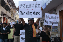 Người dân ở quần đảo Galapagos của Ecuador xuống đường biểu tình phản đối hoạt động đánh bắt cá mập trái phép của tàu cá Trung Quốc, ngày 25/08/2017. (Ảnh: Juan Cevallos/AFP qua Getty Images)