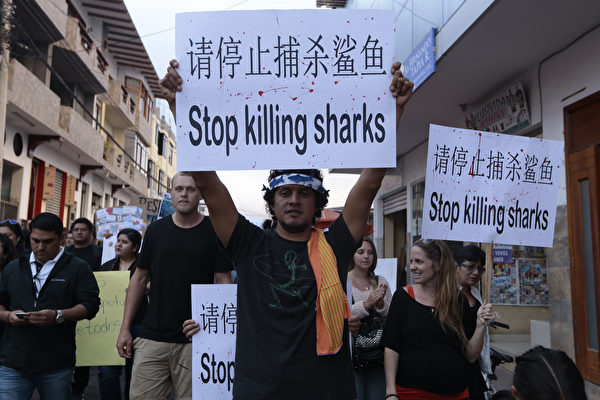 Người dân ở quần đảo Galapagos của Ecuador xuống đường biểu tình phản đối hoạt động đánh bắt cá mập trái phép của tàu cá Trung Quốc, ngày 25/08/2017. (Ảnh: Juan Cevallos/AFP qua Getty Images)