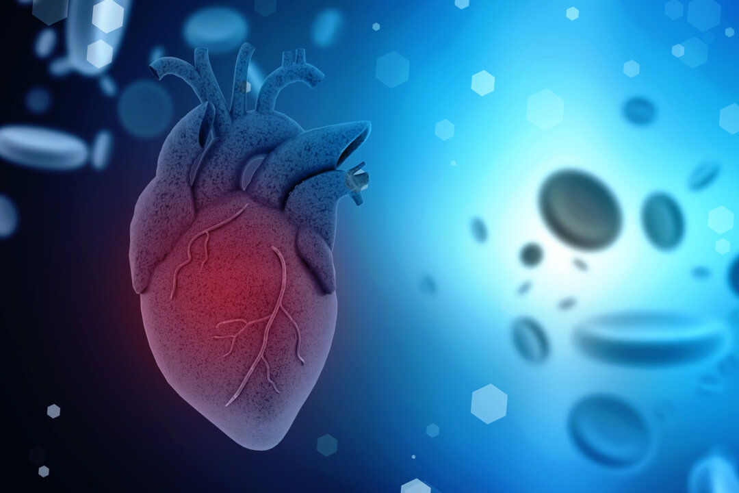 Hơn một phần tư người lớn tuổi ‘khỏe mạnh’ mắc bệnh van tim không triệu chứng