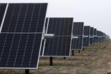 Các tấm pin quang năng tại dự án ENGIE Sun Valley Solar ở Hill County, Texas, vào ngày 01/03/2023. (Ảnh: Mark Felix/AFP qua Getty Images)
