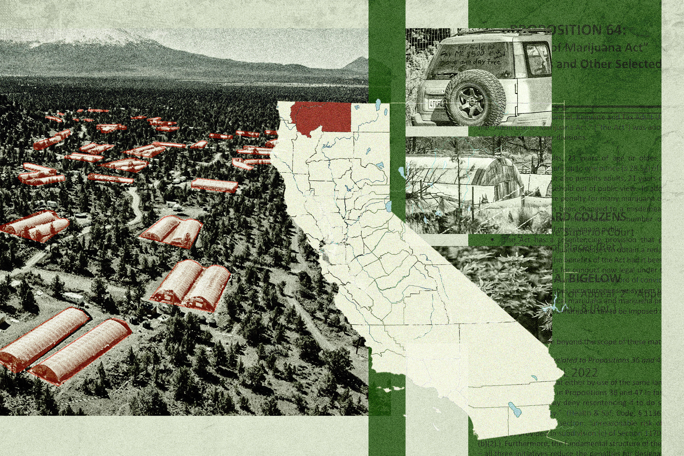 Một vùng đất hoang vu ở California lại trở thành điểm nóng cho cần sa chợ đen như thế nào