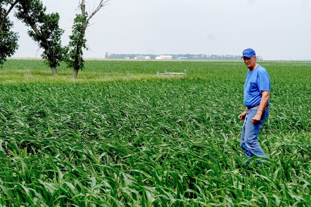 Ông Ed Fishbach, một nông dân thế hệ thứ tư ở South Dakota, đang dẫn đầu cáo buộc phản đối kế hoạch đường ống thu hồi carbon ở năm tiểu bang của công ty Summit Carbon Solutions có trụ sở tại Iowa. (Ảnh: Allan Stein/The Epoch Times)