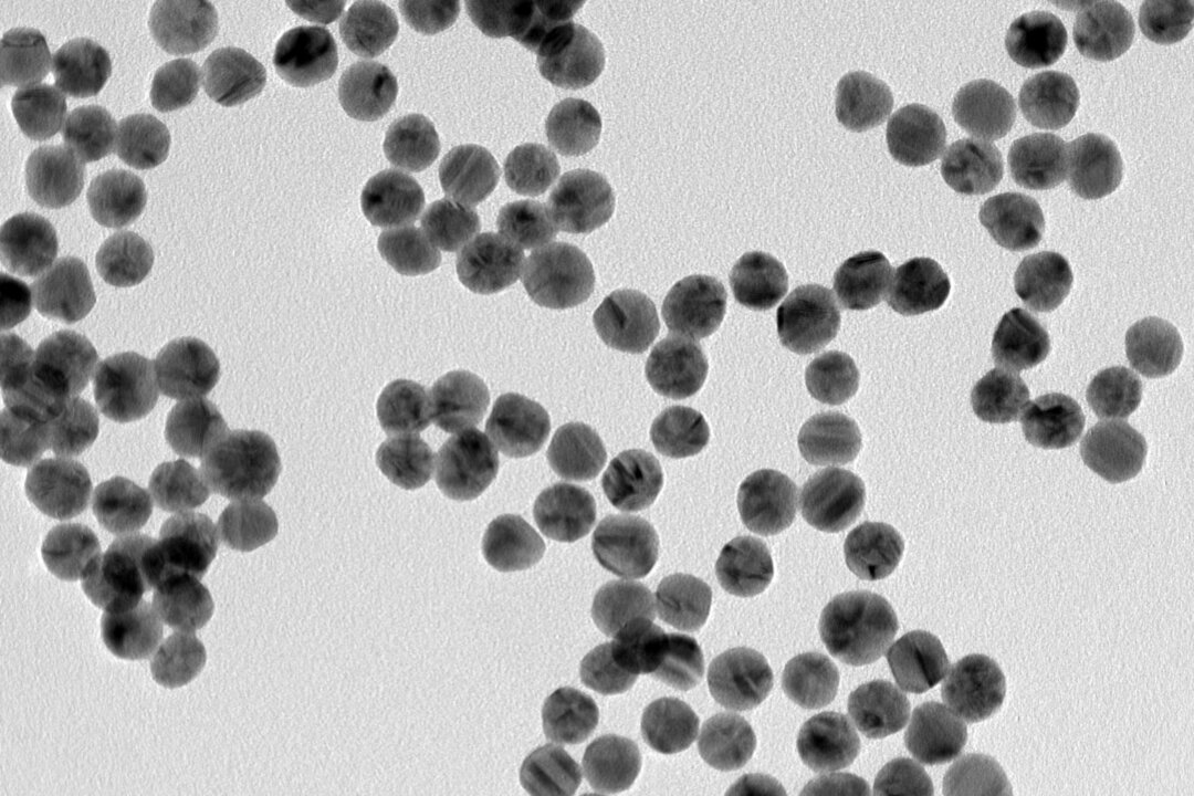 Hạt nano vàng có thể thay thế kháng sinh