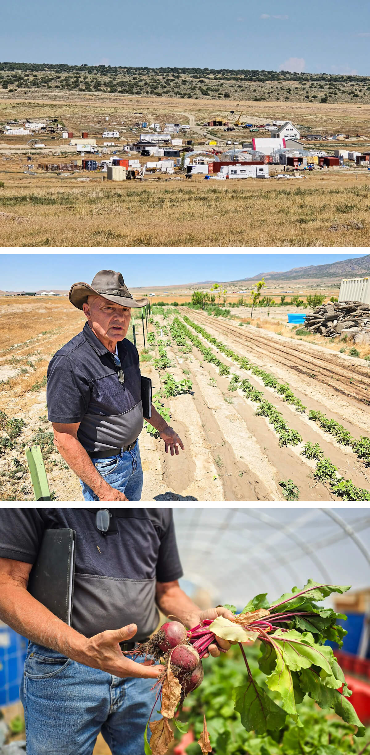 (Ảnh trên cùng) Quang cảnh phía nam của cộng đồng Chiến dịch Tự lực Cánh sinh ở Utah, hôm 28/06/2024. (Ảnh giữa) Ông Phil Gleason, người sáng lập Chiến dịch Tự lực Cánh sinh ở Utah, rảo bước qua một vườn rau đang sinh trưởng, hôm 28/06/2024. (Ảnh dưới cùng) Ông Phil Gleason cho xem mấy củ cải đường ông trồng trong nhà kính, hôm 28/06/2024. (Ảnh: Allan Stein/The Epoch Times)