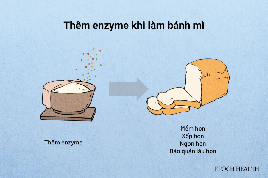 Enzyme được sử dụng rộng rãi trong các sản phẩm nướng như bánh mì. (Minh họa của The Epoch Times)